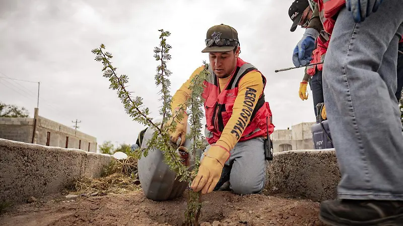 Reforestación en Mazapil apuesta por la biodiversidad